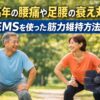 中高年の男女が屋外でスクワットをしている様子とEMS機器を組み合わせた、腰痛や足腰の衰え対策をテーマにしたブログ用アイキャッチ画像。上部に「中高年の腰痛や足腰の衰え対策｜EMSを使った筋力維持方法」のタイトルテキスト入り